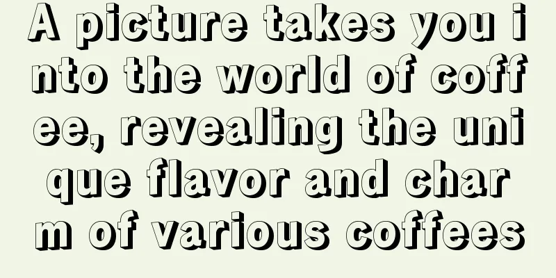 A picture takes you into the world of coffee, revealing the unique flavor and charm of various coffees