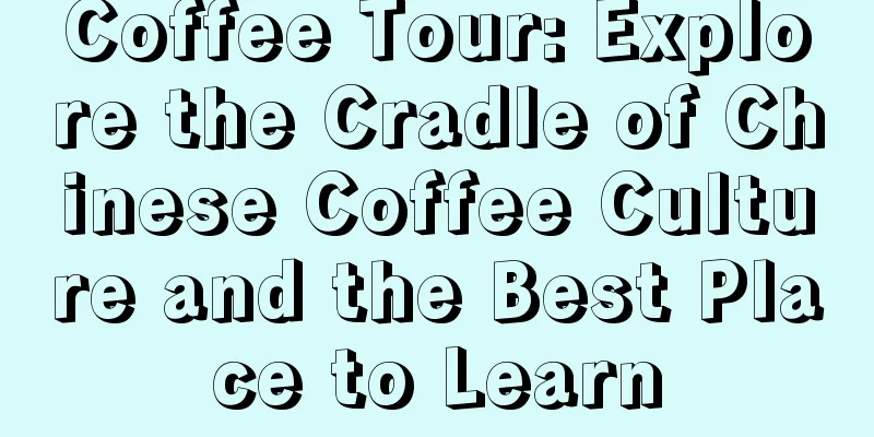 Coffee Tour: Explore the Cradle of Chinese Coffee Culture and the Best Place to Learn