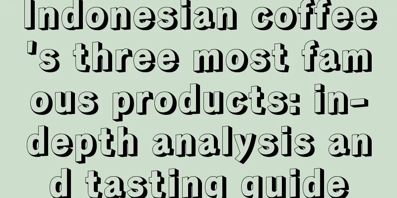 Indonesian coffee's three most famous products: in-depth analysis and tasting guide