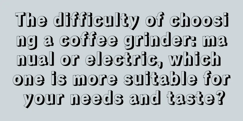 The difficulty of choosing a coffee grinder: manual or electric, which one is more suitable for your needs and taste?