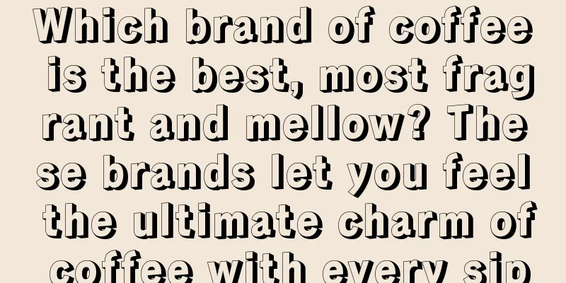 Which brand of coffee is the best, most fragrant and mellow? These brands let you feel the ultimate charm of coffee with every sip