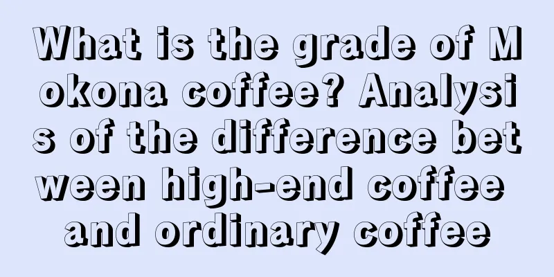 What is the grade of Mokona coffee? Analysis of the difference between high-end coffee and ordinary coffee