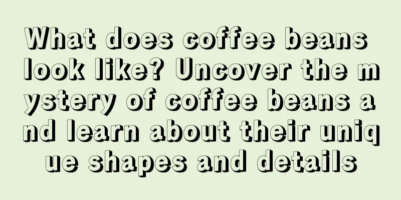 What does coffee beans look like? Uncover the mystery of coffee beans and learn about their unique shapes and details