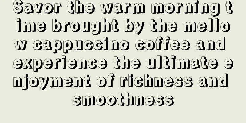 Savor the warm morning time brought by the mellow cappuccino coffee and experience the ultimate enjoyment of richness and smoothness