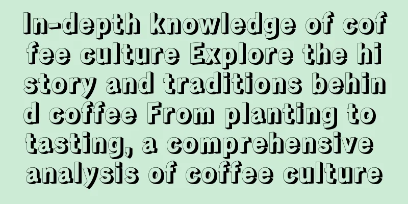 In-depth knowledge of coffee culture Explore the history and traditions behind coffee From planting to tasting, a comprehensive analysis of coffee culture