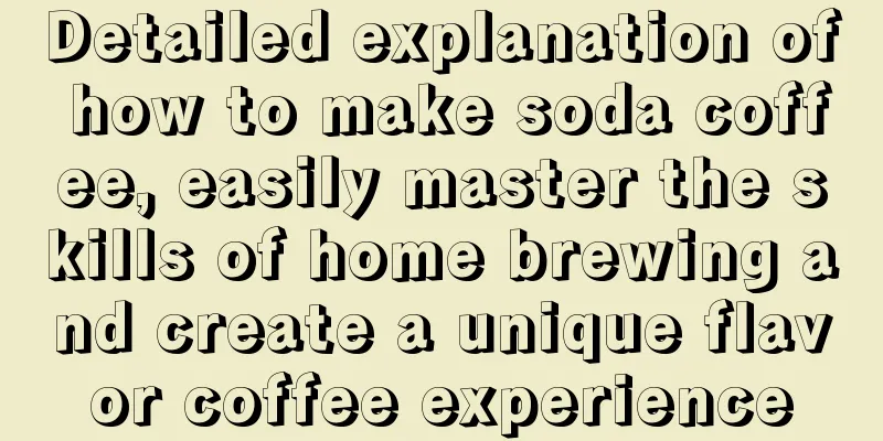 Detailed explanation of how to make soda coffee, easily master the skills of home brewing and create a unique flavor coffee experience