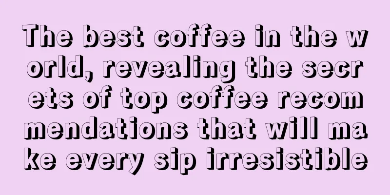 The best coffee in the world, revealing the secrets of top coffee recommendations that will make every sip irresistible