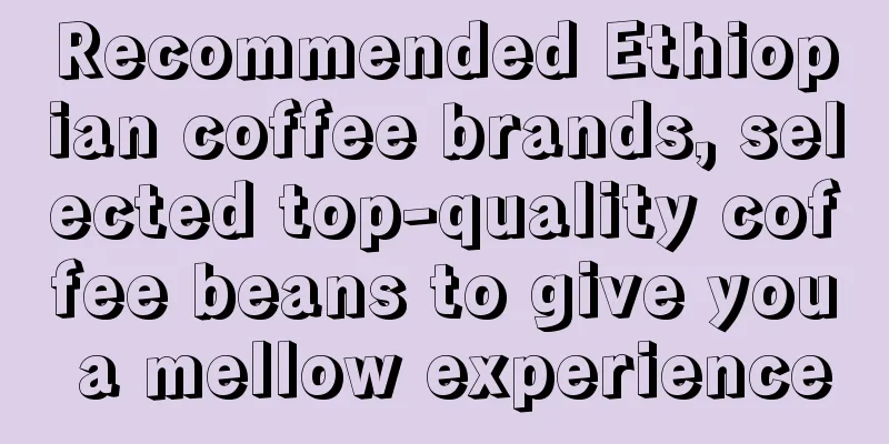 Recommended Ethiopian coffee brands, selected top-quality coffee beans to give you a mellow experience