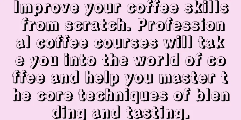 Improve your coffee skills from scratch. Professional coffee courses will take you into the world of coffee and help you master the core techniques of blending and tasting.