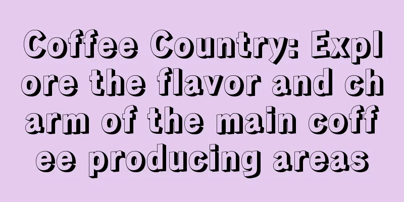 Coffee Country: Explore the flavor and charm of the main coffee producing areas