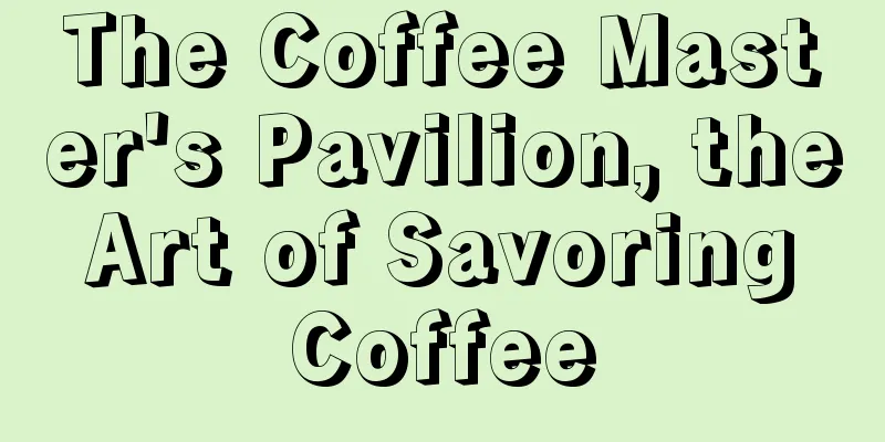 The Coffee Master's Pavilion, the Art of Savoring Coffee