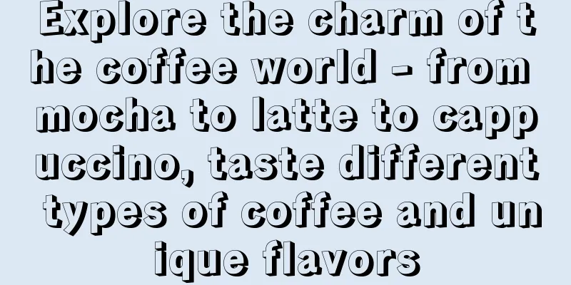 Explore the charm of the coffee world - from mocha to latte to cappuccino, taste different types of coffee and unique flavors