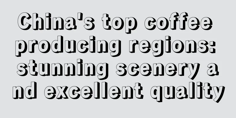 China's top coffee producing regions: stunning scenery and excellent quality