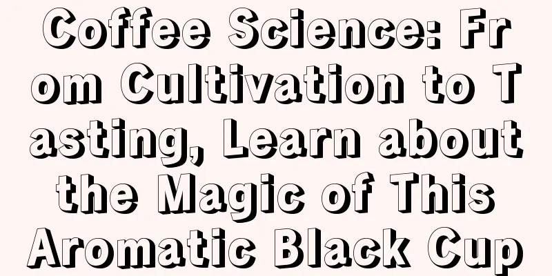 Coffee Science: From Cultivation to Tasting, Learn about the Magic of This Aromatic Black Cup