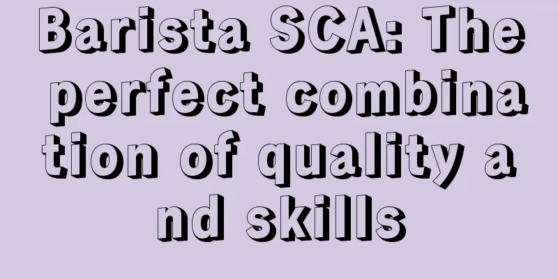 Barista SCA: The perfect combination of quality and skills