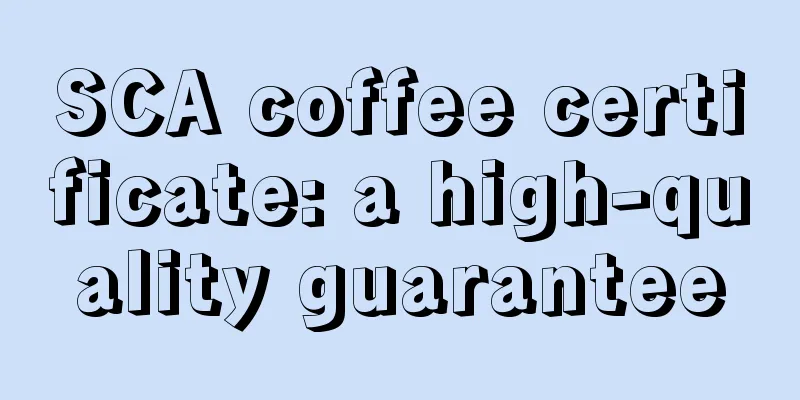 SCA coffee certificate: a high-quality guarantee