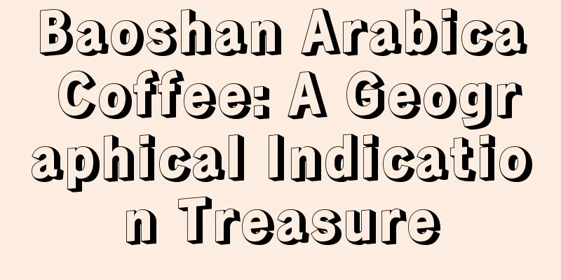 Baoshan Arabica Coffee: A Geographical Indication Treasure