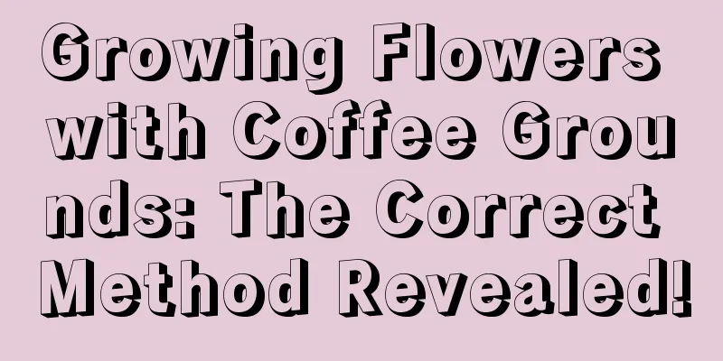 Growing Flowers with Coffee Grounds: The Correct Method Revealed!