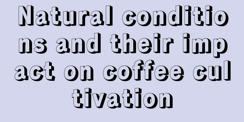 Natural conditions and their impact on coffee cultivation