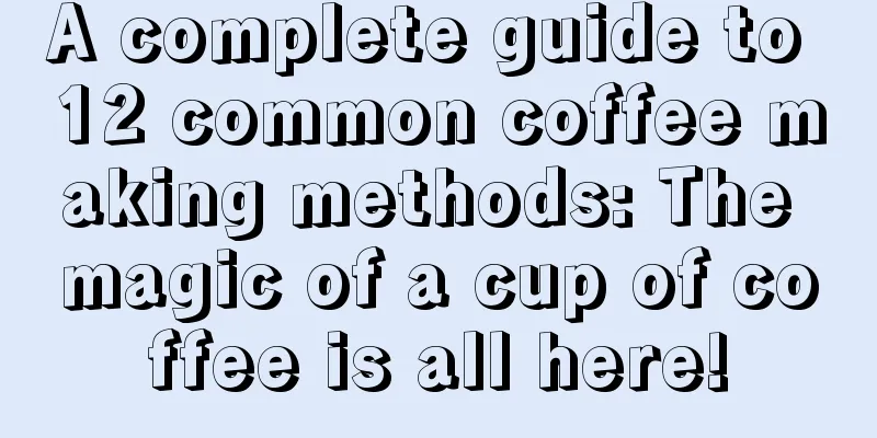 A complete guide to 12 common coffee making methods: The magic of a cup of coffee is all here!