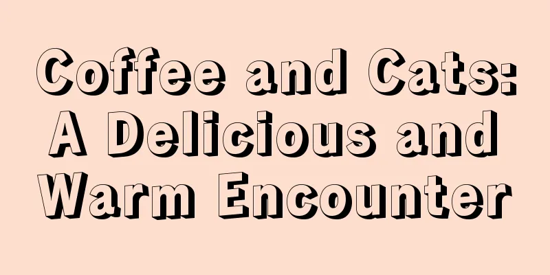 Coffee and Cats: A Delicious and Warm Encounter