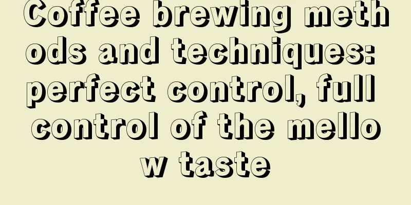 Coffee brewing methods and techniques: perfect control, full control of the mellow taste