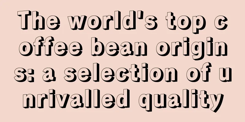 The world's top coffee bean origins: a selection of unrivalled quality