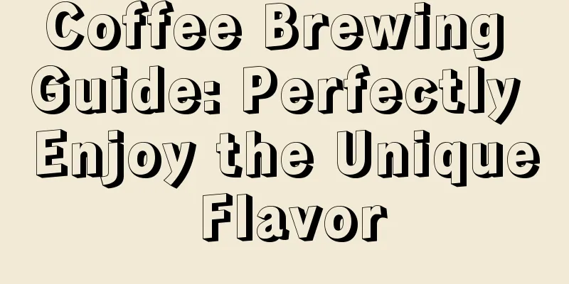 Coffee Brewing Guide: Perfectly Enjoy the Unique Flavor