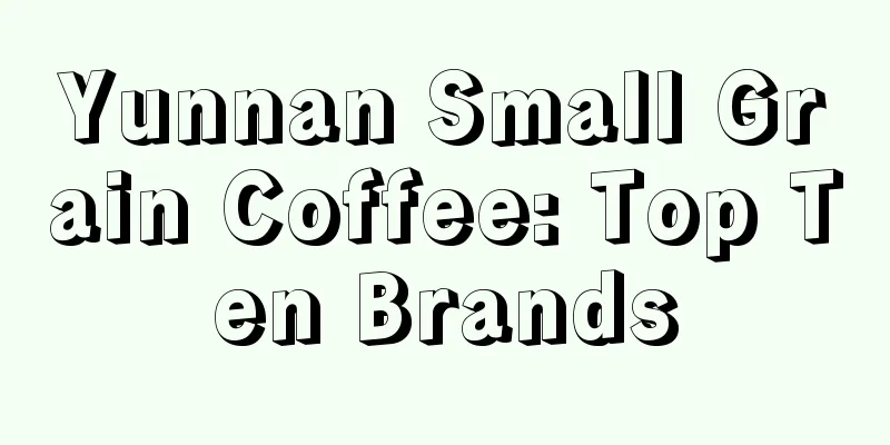 Yunnan Small Grain Coffee: Top Ten Brands