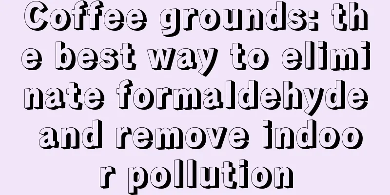 Coffee grounds: the best way to eliminate formaldehyde and remove indoor pollution