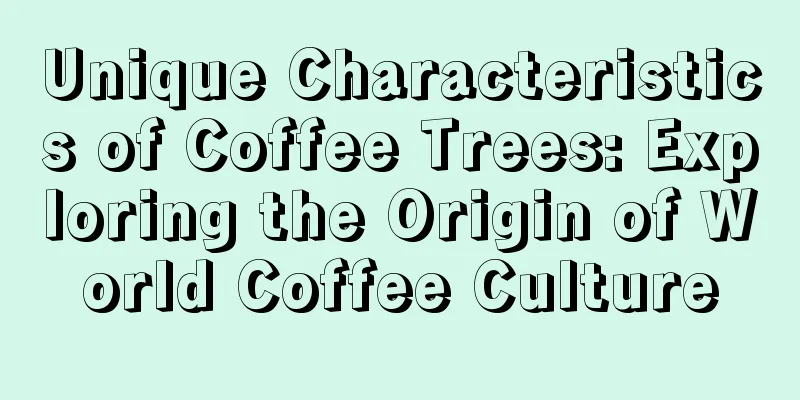 Unique Characteristics of Coffee Trees: Exploring the Origin of World Coffee Culture