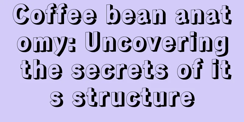 Coffee bean anatomy: Uncovering the secrets of its structure