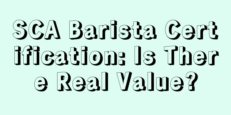 SCA Barista Certification: Is There Real Value?