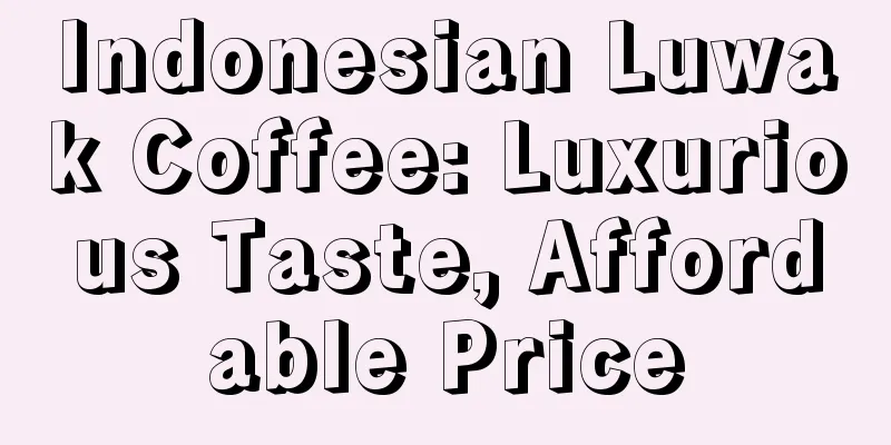 Indonesian Luwak Coffee: Luxurious Taste, Affordable Price