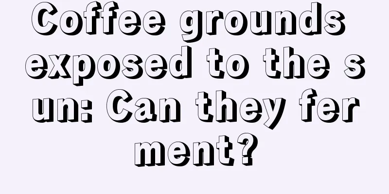 Coffee grounds exposed to the sun: Can they ferment?