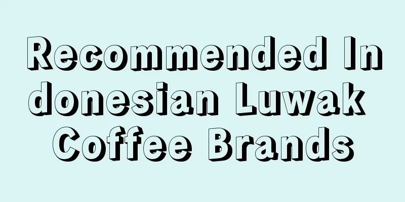 Recommended Indonesian Luwak Coffee Brands