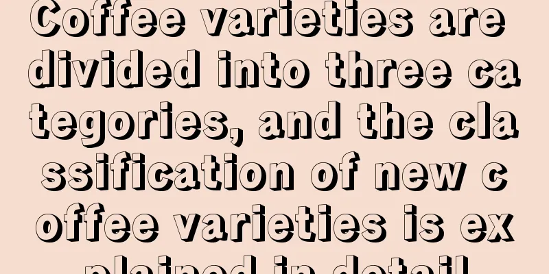 Coffee varieties are divided into three categories, and the classification of new coffee varieties is explained in detail