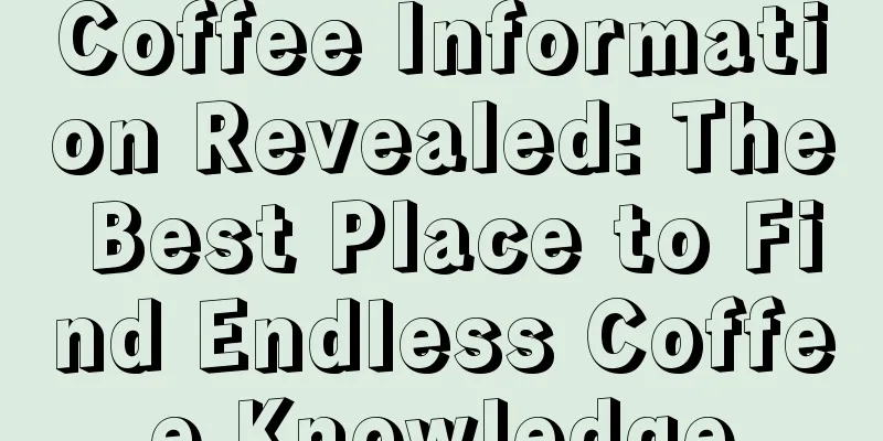 Coffee Information Revealed: The Best Place to Find Endless Coffee Knowledge