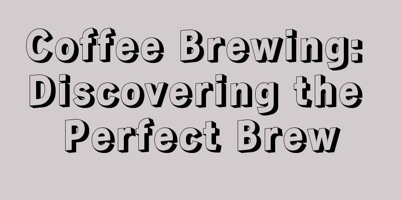 Coffee Brewing: Discovering the Perfect Brew