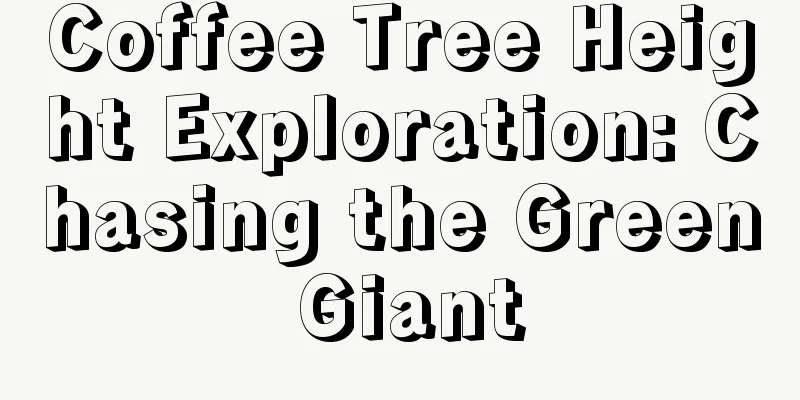 Coffee Tree Height Exploration: Chasing the Green Giant