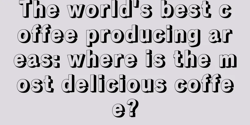 The world's best coffee producing areas: where is the most delicious coffee?