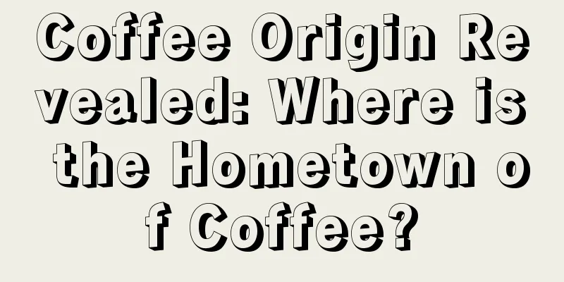 Coffee Origin Revealed: Where is the Hometown of Coffee?