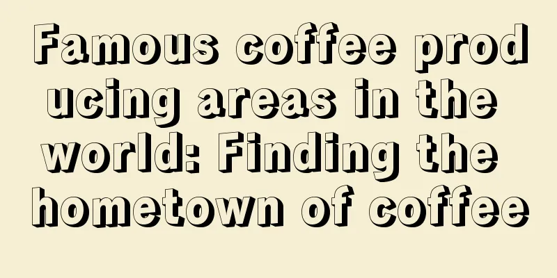 Famous coffee producing areas in the world: Finding the hometown of coffee