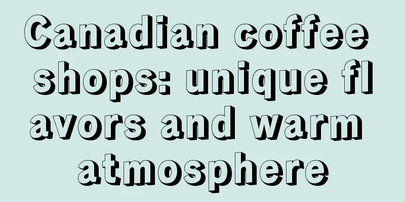 Canadian coffee shops: unique flavors and warm atmosphere