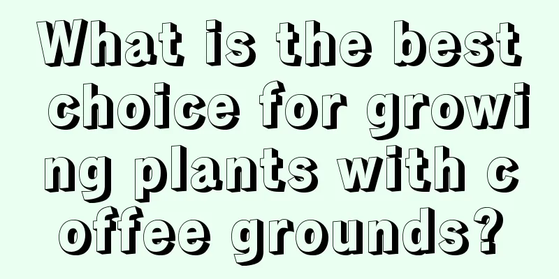 What is the best choice for growing plants with coffee grounds?