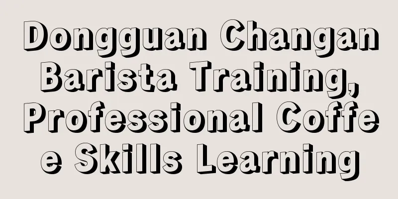 Dongguan Changan Barista Training, Professional Coffee Skills Learning