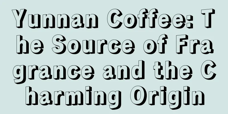 Yunnan Coffee: The Source of Fragrance and the Charming Origin