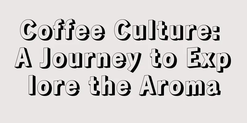 Coffee Culture: A Journey to Explore the Aroma