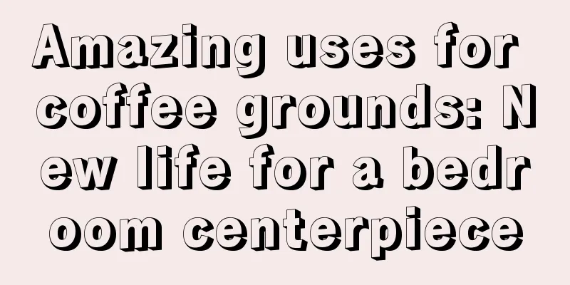 Amazing uses for coffee grounds: New life for a bedroom centerpiece