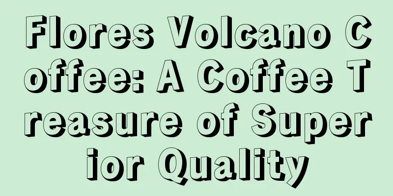 Flores Volcano Coffee: A Coffee Treasure of Superior Quality